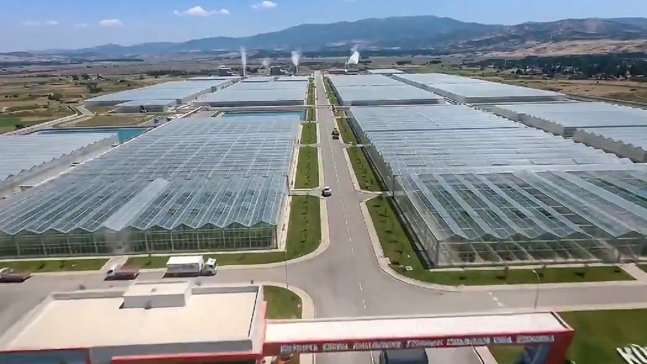 Kütahya’da jeotermal sera bölgesi üretime hazır