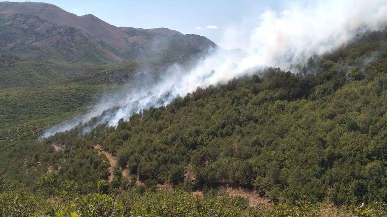 Antalya Kaş’ta orman yangını