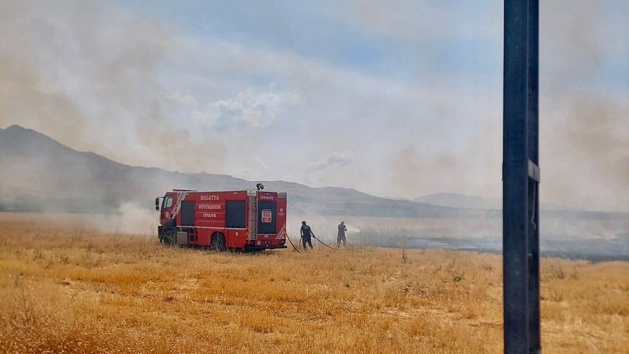 Elektrik tellerinden çıkan kıvılcım 40 dönümlük alanı küle çevirdi