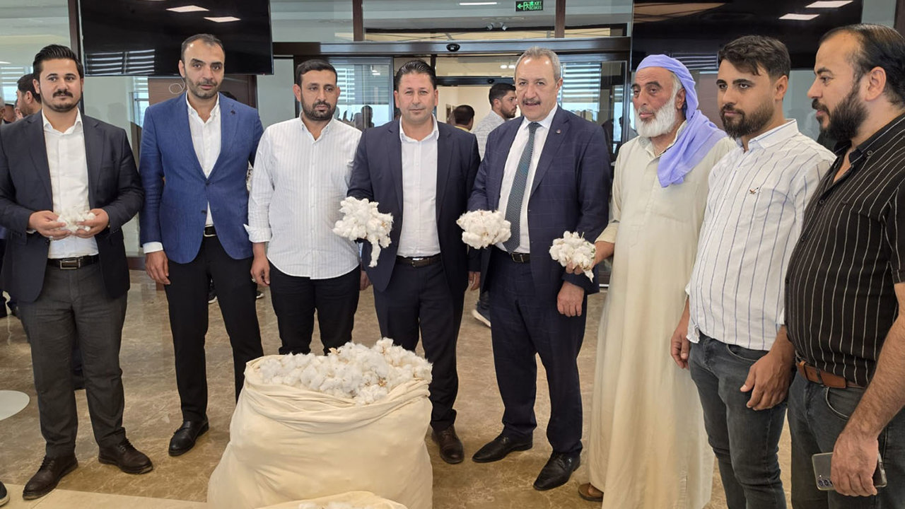 Şanlıurfa'da sezonun ilk pamuğu satıldı