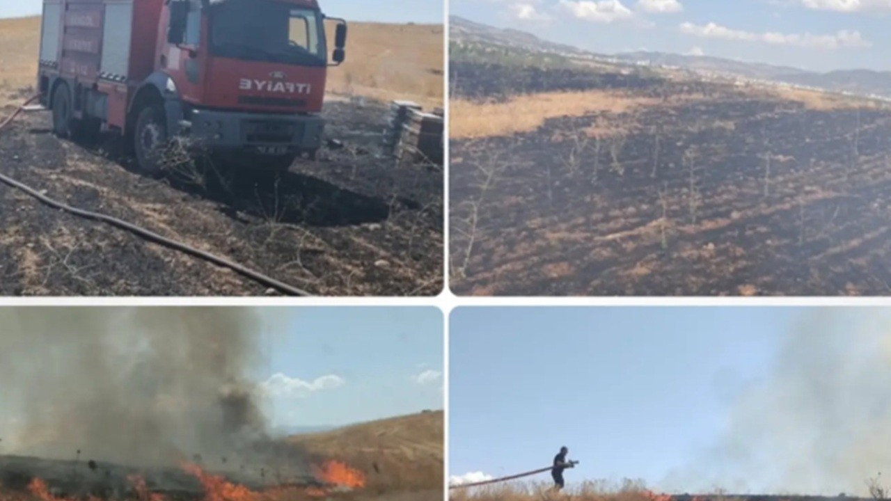 Bingöl’de anız yangını korkuttu