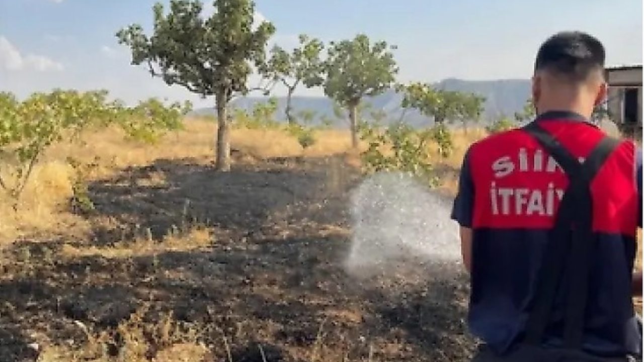 Siirt’te bağ yangınında 33 fıstık ağacı ile onlarca meyve ağacı zarar gördü