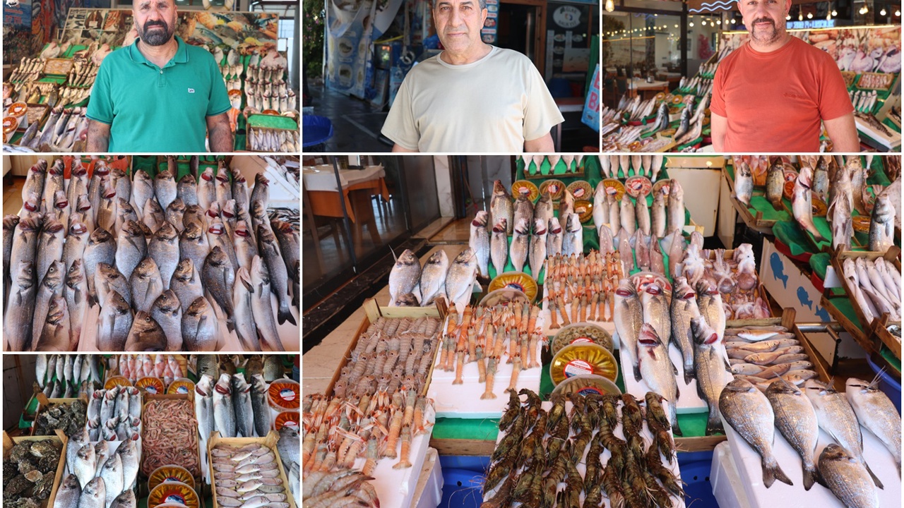 İstanbul'da balık sezonu bereketli başladı