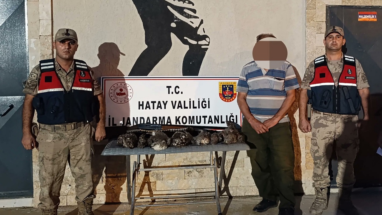 Hatay’da 7 arı şahini vuran kişiye 1 milyon 356 bin lira ceza