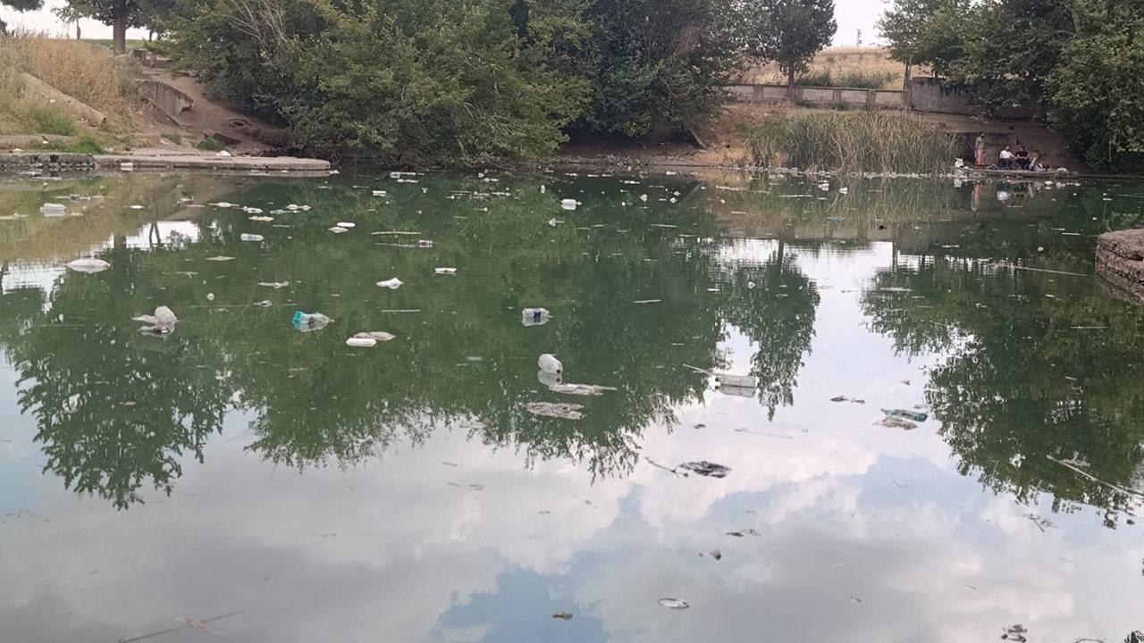 Şanlıurfa'da Edene Culeyb için çağrı: Proje bir an önce hayata geçirilsin