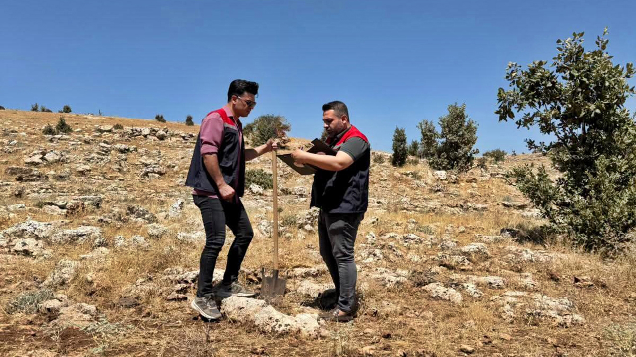Şırnak’ta büyükbaş hayvancılık yatırımları için arazi etüdü yapıldı