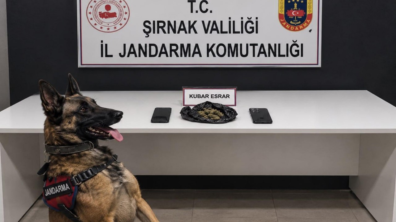 Şırnak'ta jandarma operasyonlarında 227 şüpheli gözaltına alındı 