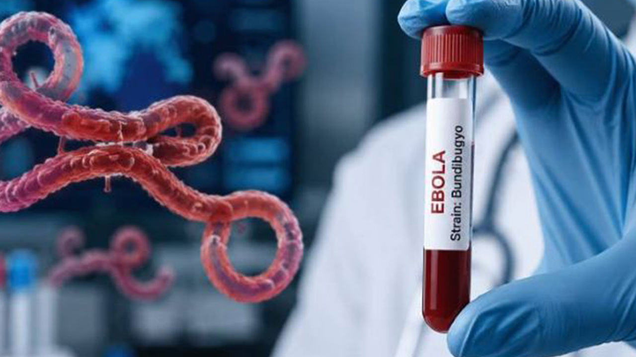 Kongo'daki Ebola salgınında can kaybı 3 bin 95'e yükseldi