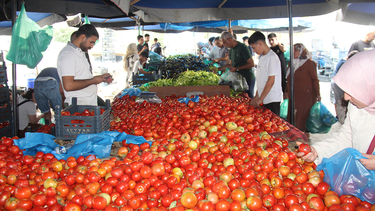 Semt pazarlarında konserve hareketliliği