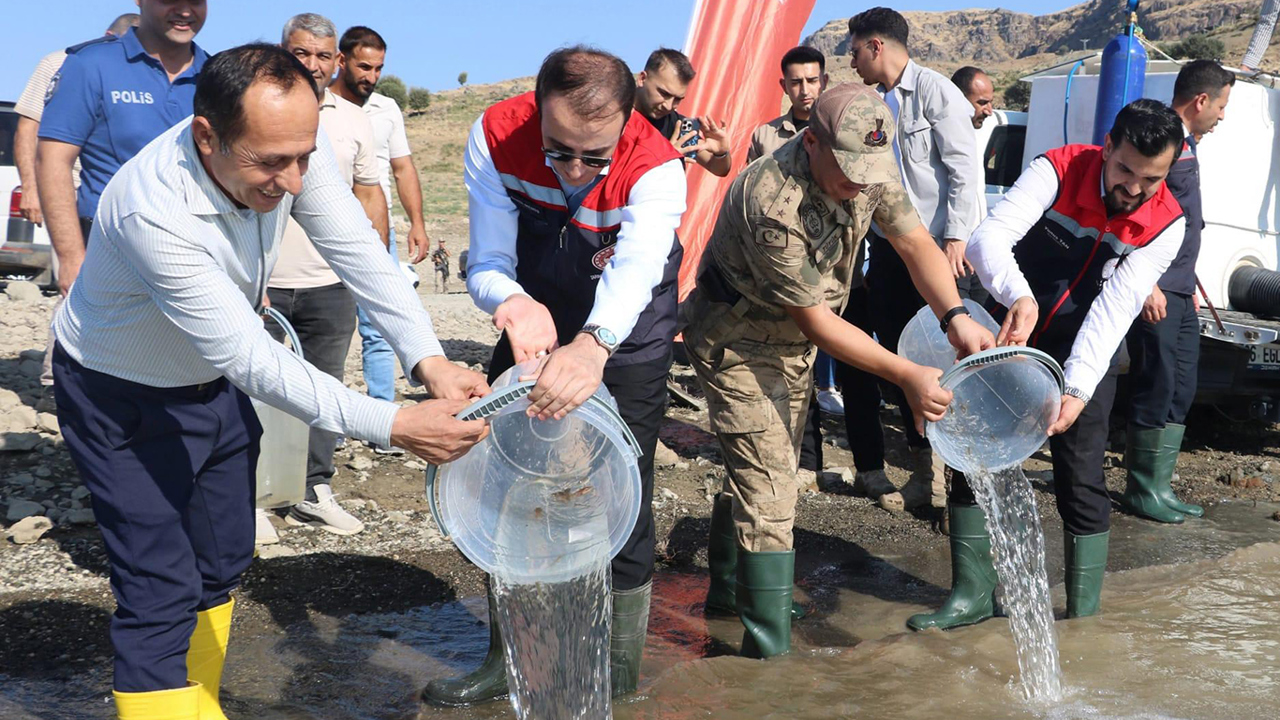 Şırnak'ta 900 bin yavru şabut Ilısu Baraj Gölü’ne  bırakıldı