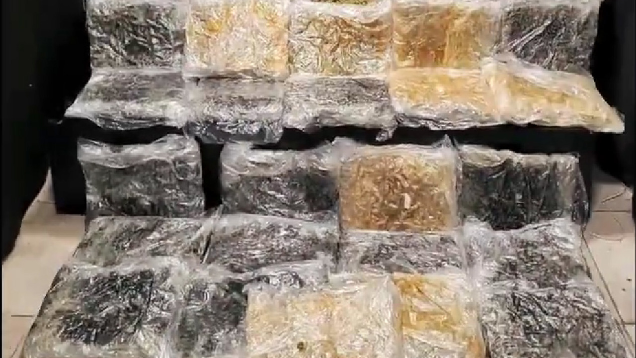 İpsala’da 387 kilo 348 gram skunk ele geçirildi