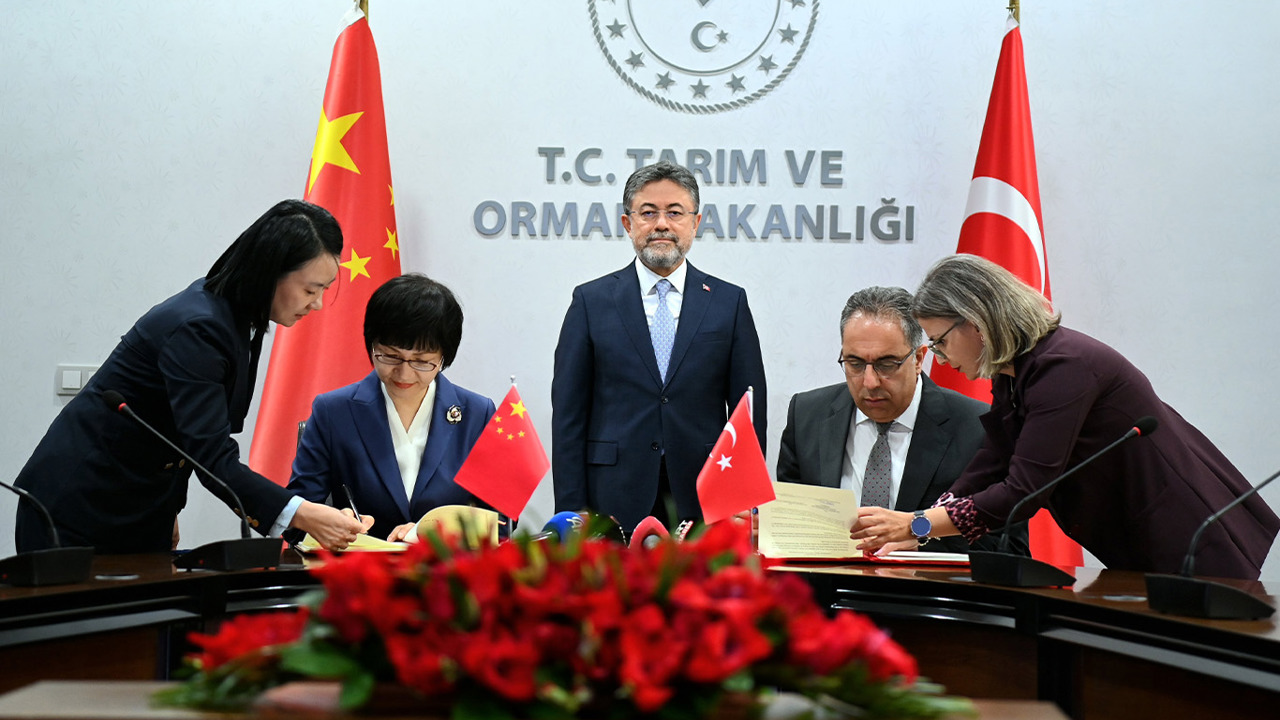 Türkiye’den Çin’e defne yaprağı ihracatının önü açıldı
