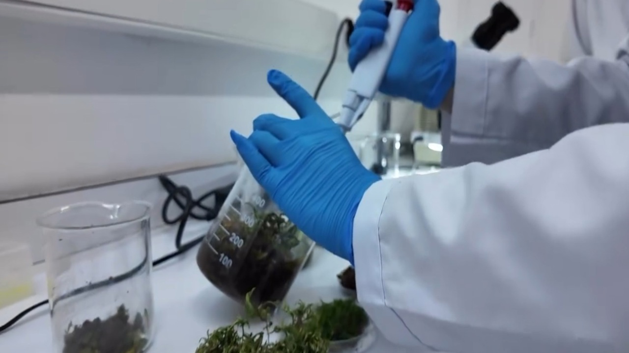 Gıda aromalarında yeni düzenleme 