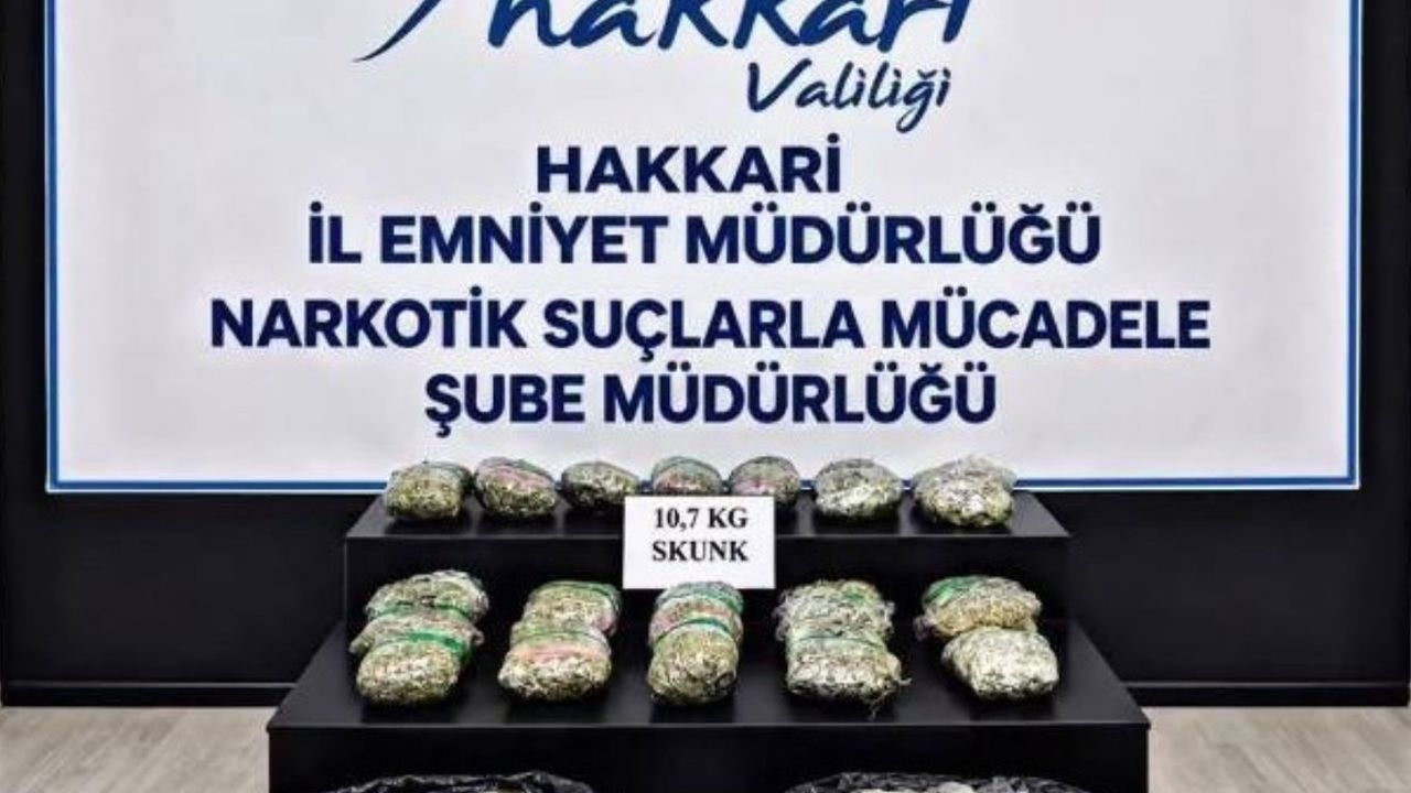 Hakkari'de 10 kilogram skunk ele geçirildi: 9 tutuklama