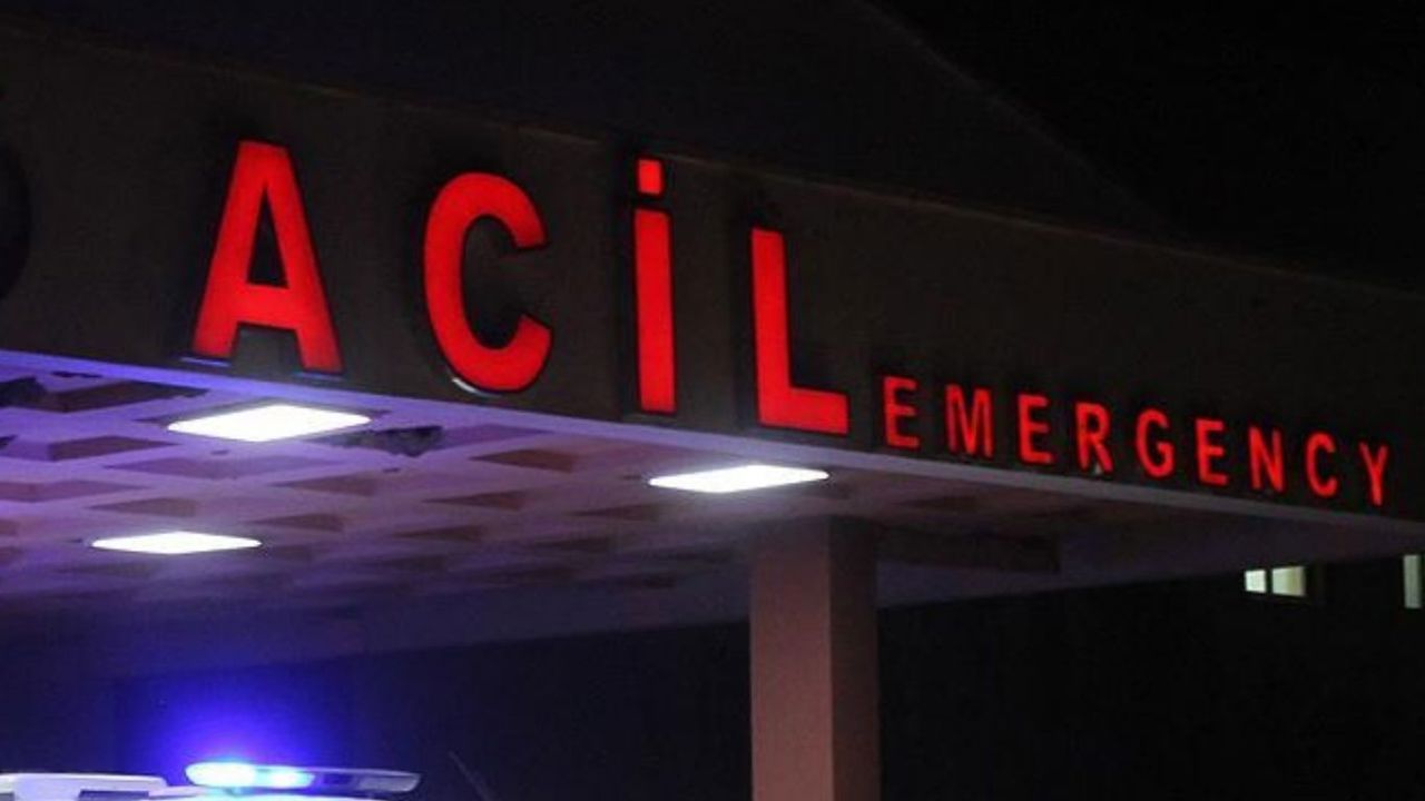Van'da kamyon ile minibüs çarpıştı: 13 yaralı