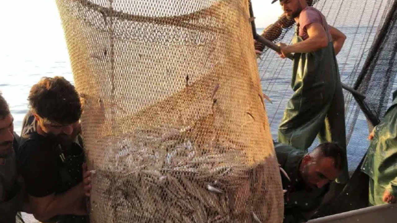 İzmir’de balık sezonu bereketli başladı: Tezgâhlarda fiyatlar geriledi