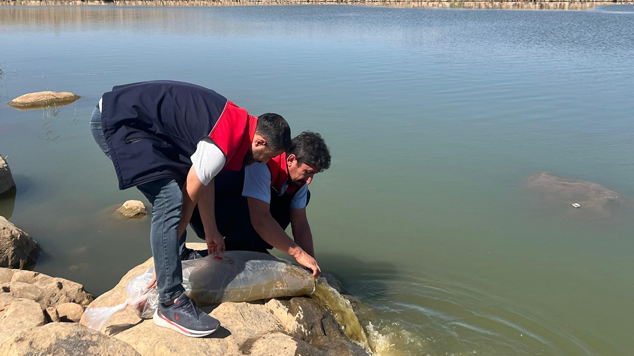 İdil'de "İç Suları Balıklandırma Projesi"