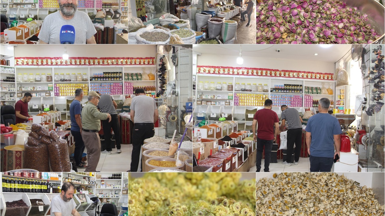 Havaların serinlemesiyle beraber aktarlarda hareketlilik başladı