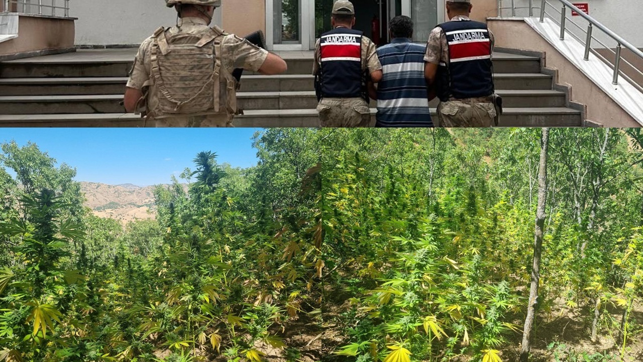 Bingöl’de bir haftalık asayiş  bilançosu açıklandı
