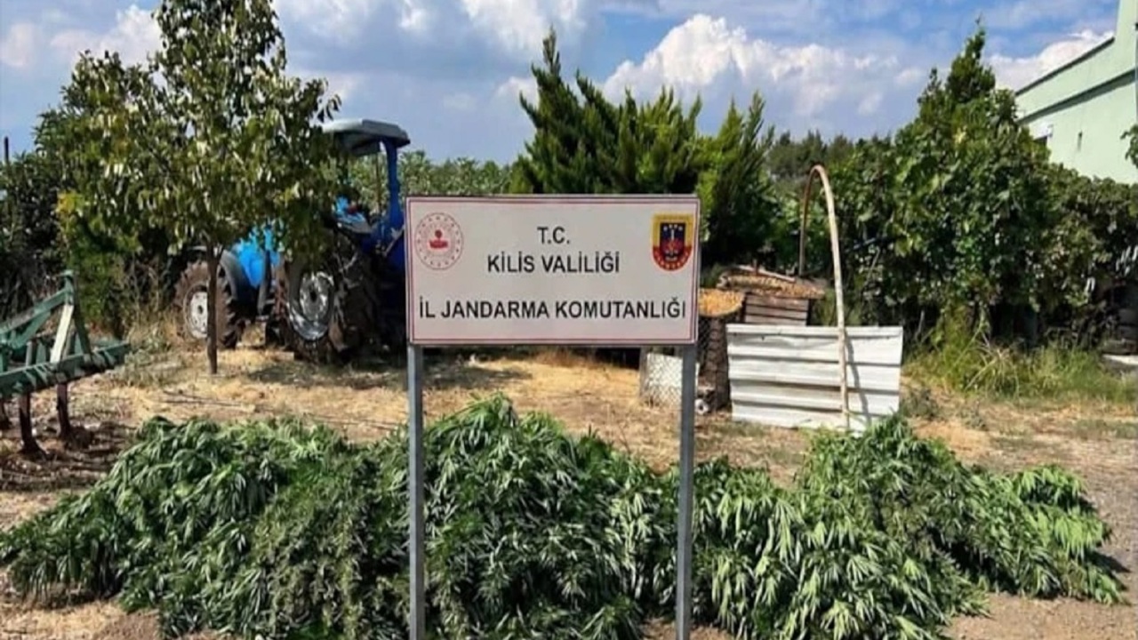 Kilis'te uyuşturucu operasyonu: 40,5 kilogram esrar ele geçirildi
