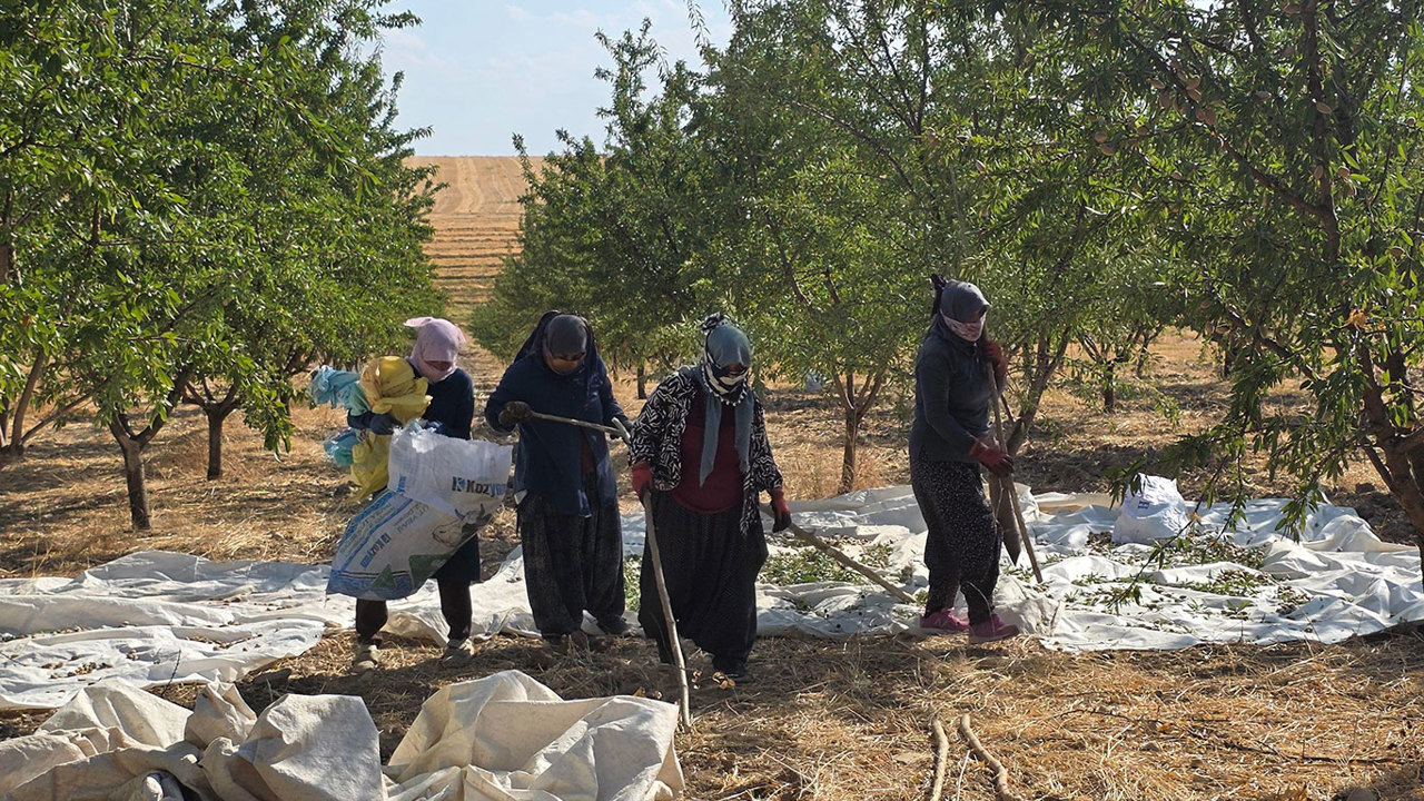 HÜDA PAR İl Başkanlığından Adıyaman bademi için fiyat ve destek çağrısı