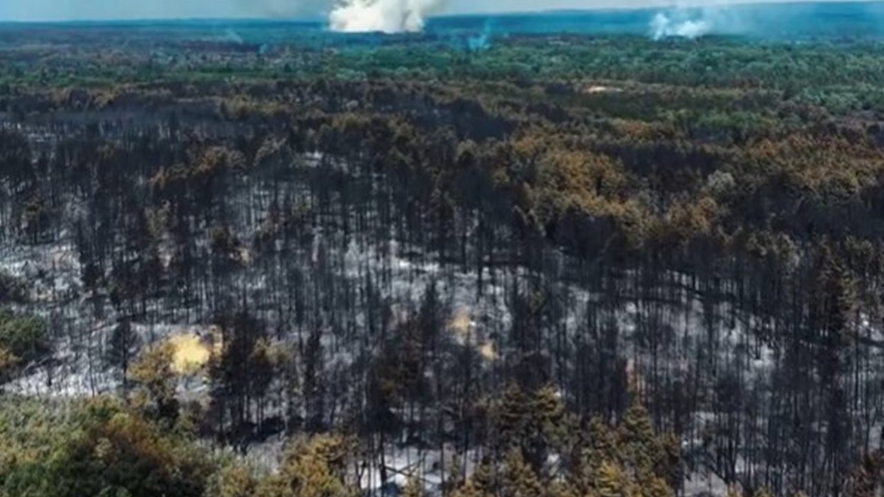 Sırbistan'da 2 Ağustos'ta başlayan yangın söndürüldü