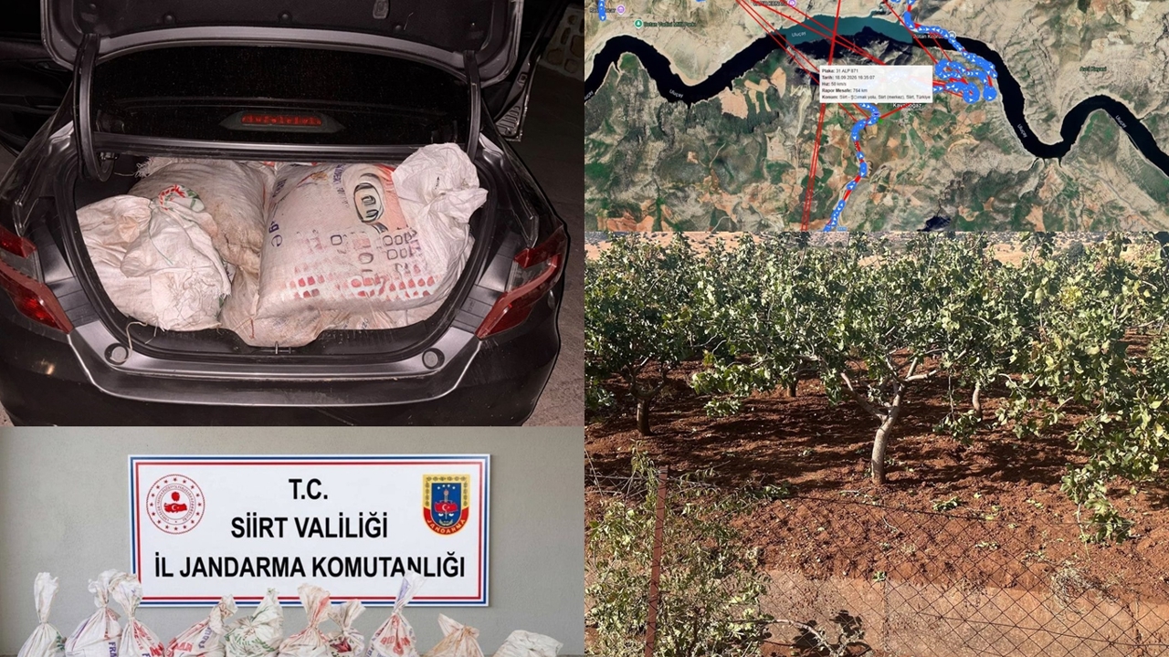 Siirt’te 300 kilo fıstık çalan hırsızlar yakalandı