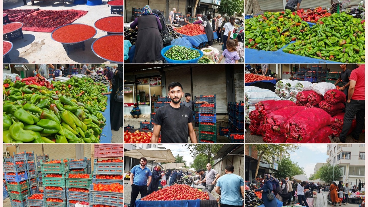 Şanlıurfa'da isot telaşı başladı: Damlar kırmızıya büründü