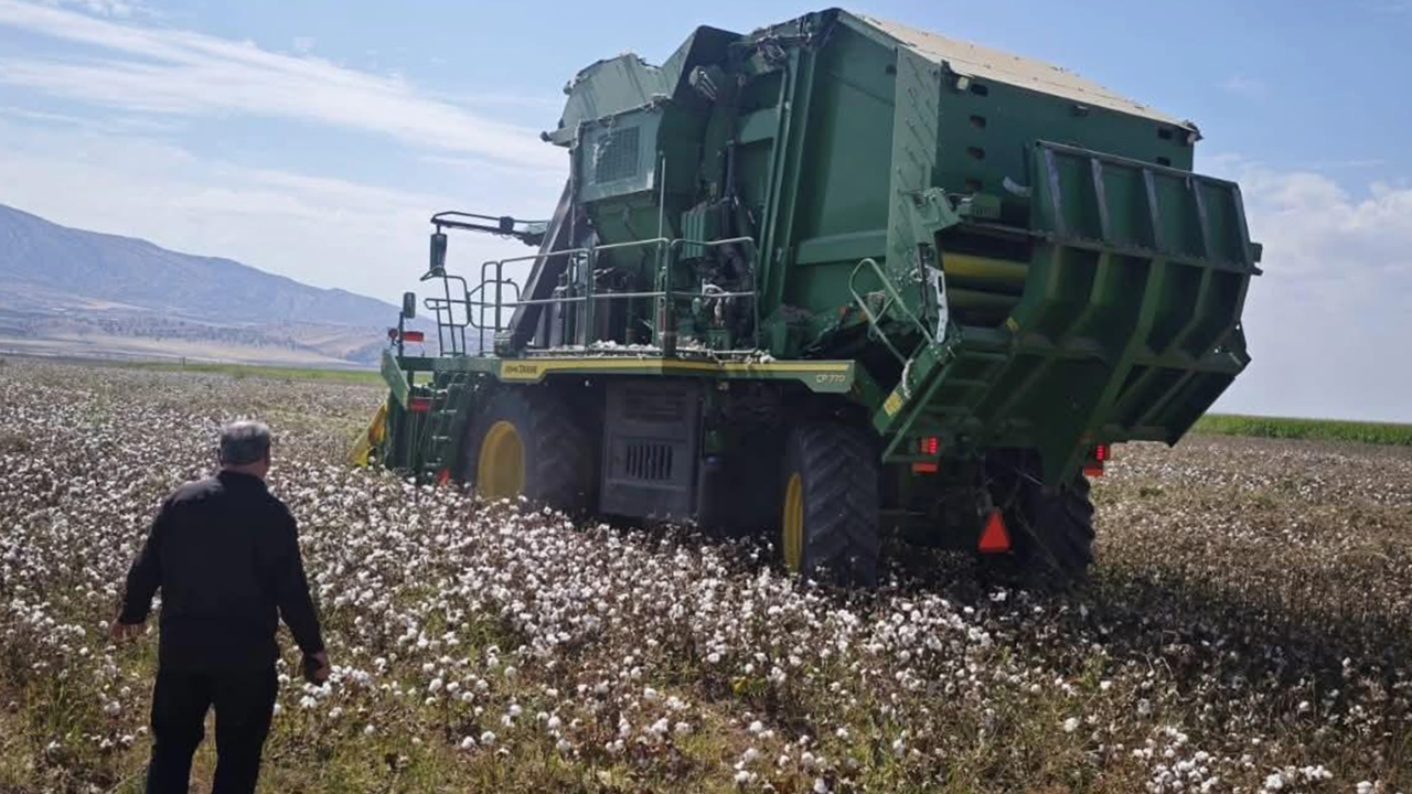 Silopi'de pamuk hasadı başladı