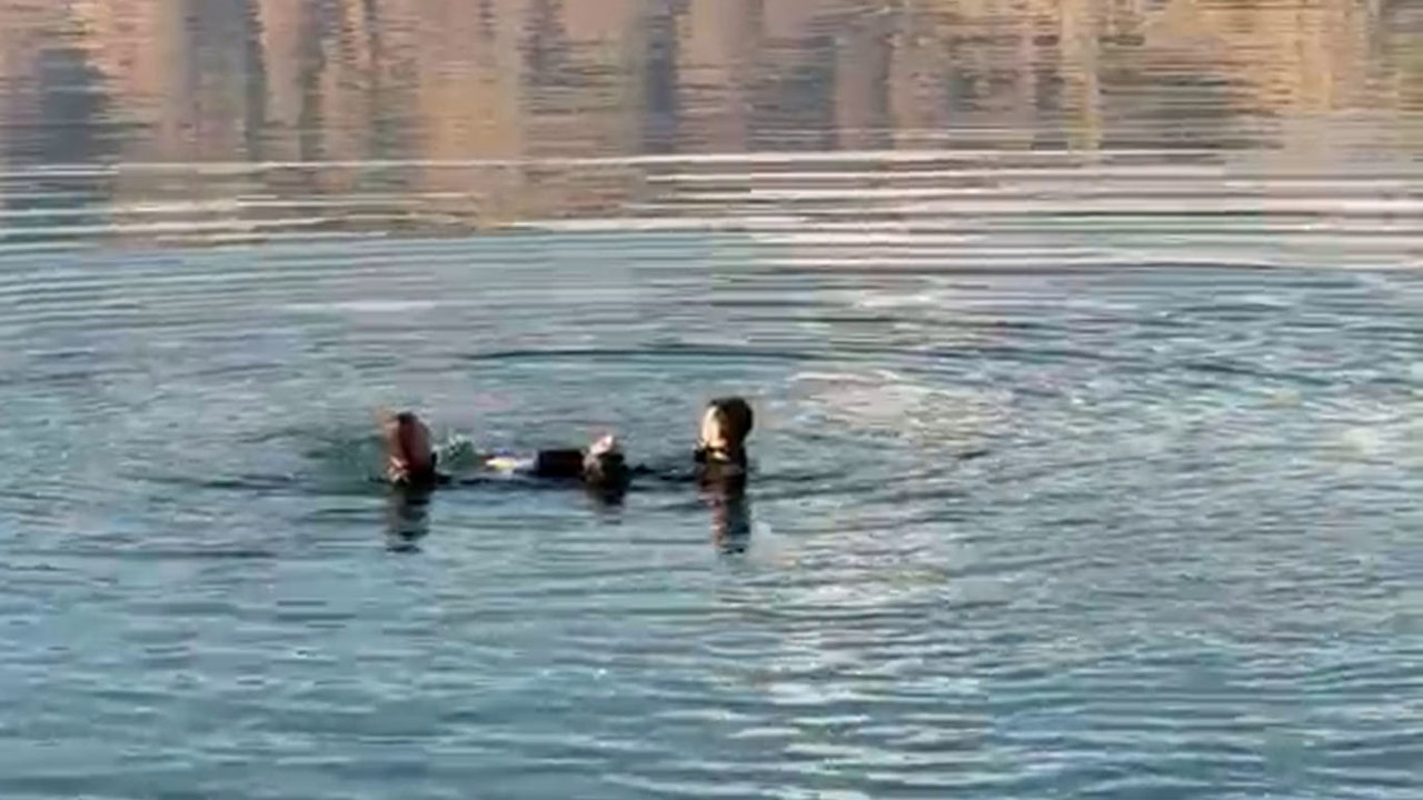 Malatya'da barajda erkek cesedi bulundu