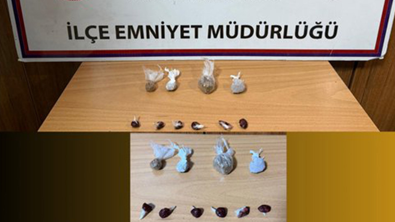 Kahramanmaraş’ta bonzai ve uyuşturucu ham maddesi ele geçirildi
