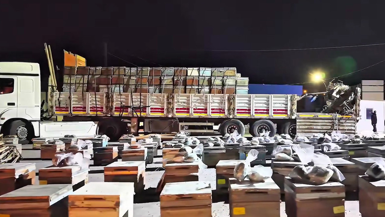 Arı kovanlarının arasına gizlenmiş 91,1 kilo uyuşturucu ele geçirildi