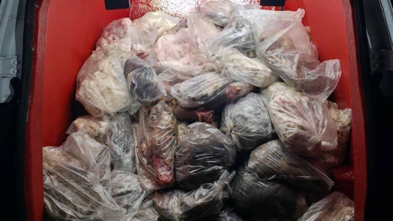 Diyarbakır'da sağlığa elverişsiz 820 kilogram sakatat ele geçirildi