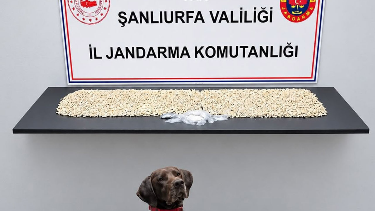 Şanlıurfa'da 14 bin uyuşturucu hap ele geçirildi