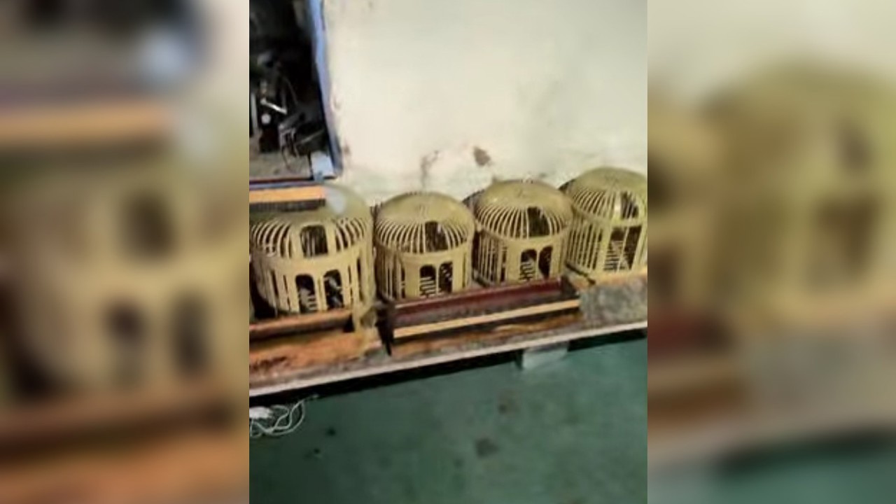 Mardin’de kaçak keklik avlayan kişiye 129 bin lira ceza
