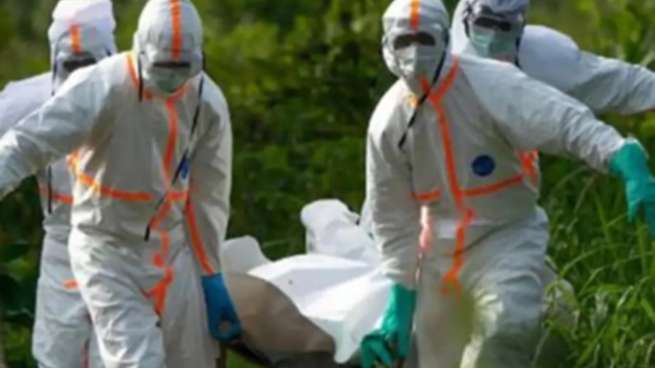 Nijerya’da Lassa ateşi kaynaklı ölümler 263’e çıktı