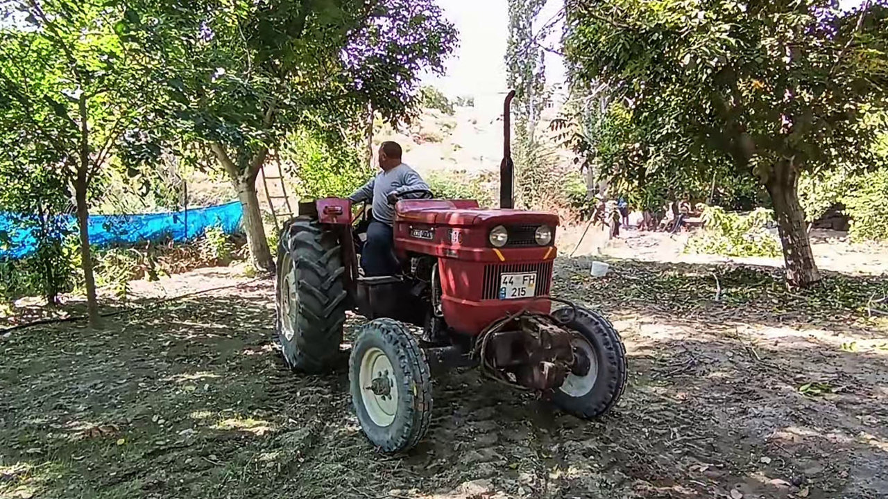 Ceviz hasadı yeni teknolojiyle 10 günden bir güne indi