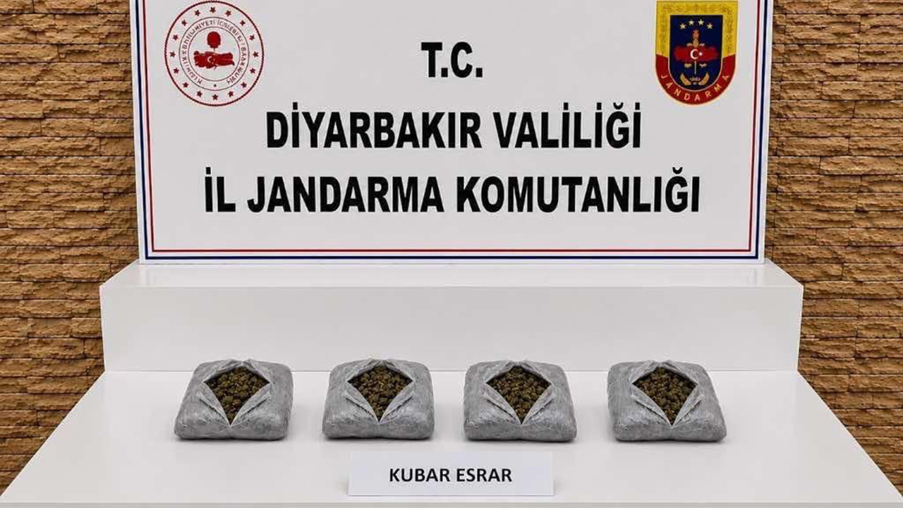 Diyarbakır'da 57 bin kök keneviri ele geçirildi