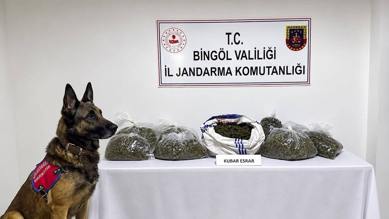 Bingöl'de asayiş, narkotik ve kaçakçılık operasyonları: 31 şüpheli hakkında işlem yapıldı