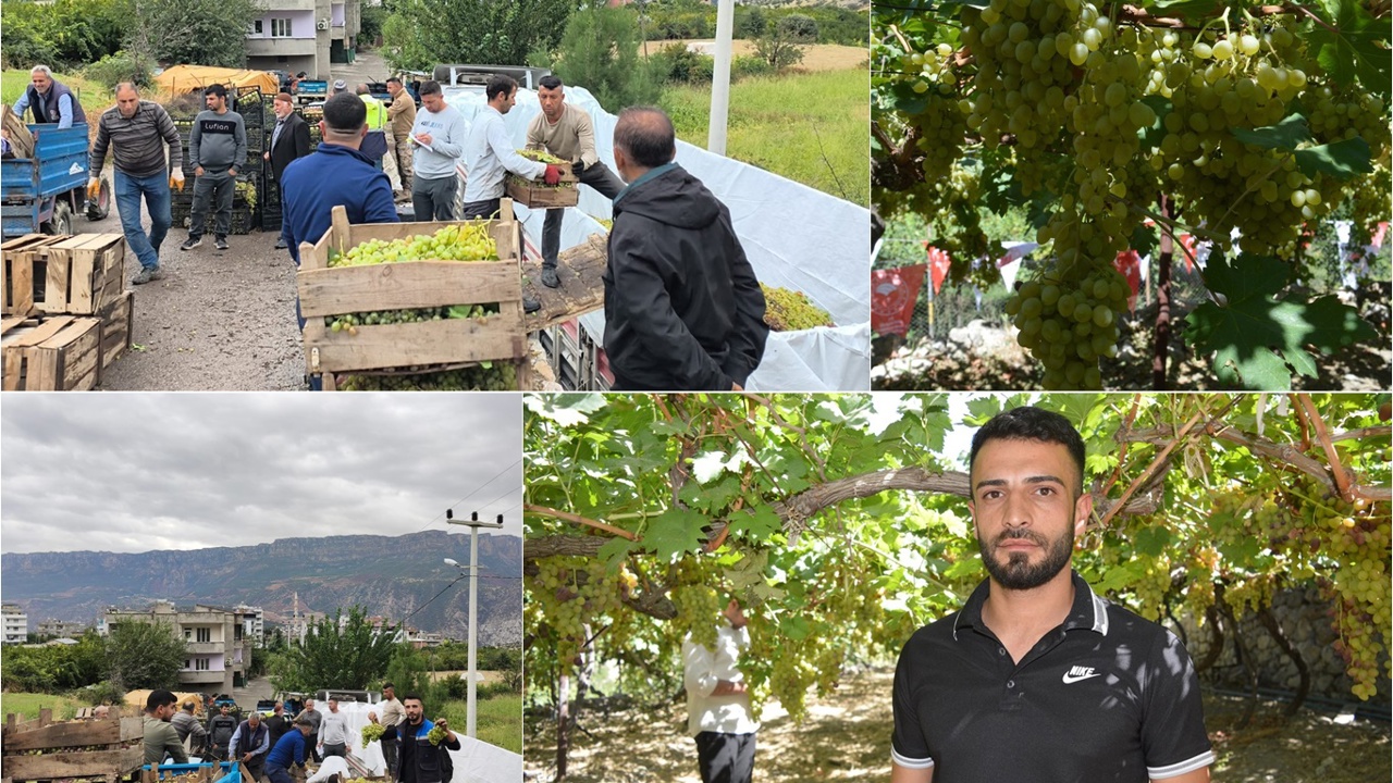 Üzüm üreticilerinden düşük alım fiyatlarına tepki: Tüccara satmayıp sirke yapacaklar