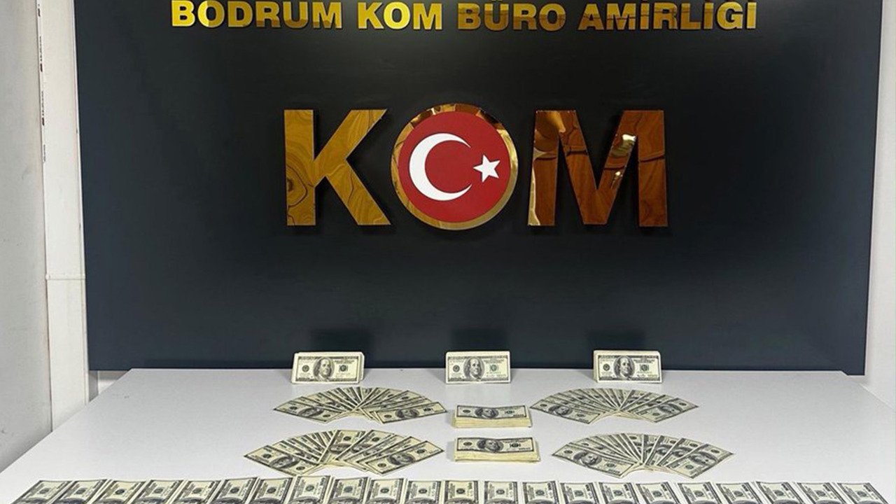 Muğla’da 46 bin 200 sahte dolar ele geçirildi: Bir şüpheli tutuklandı