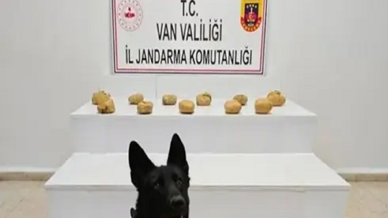 Van'da araziye gizlenmiş yaklaşık 12 kilo toz esrar bulundu