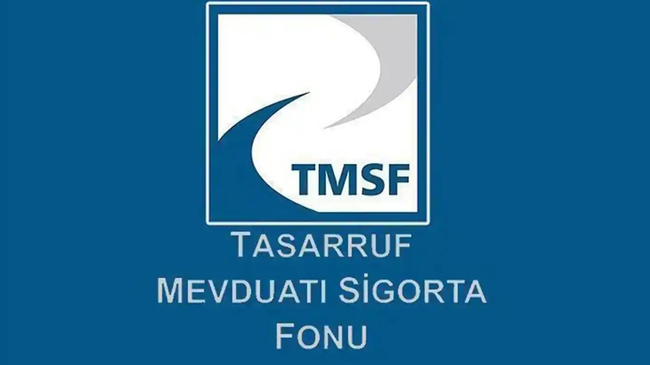 TMSF, Tera Yatırım Teknoloji Holding'e kayyum olarak atandı