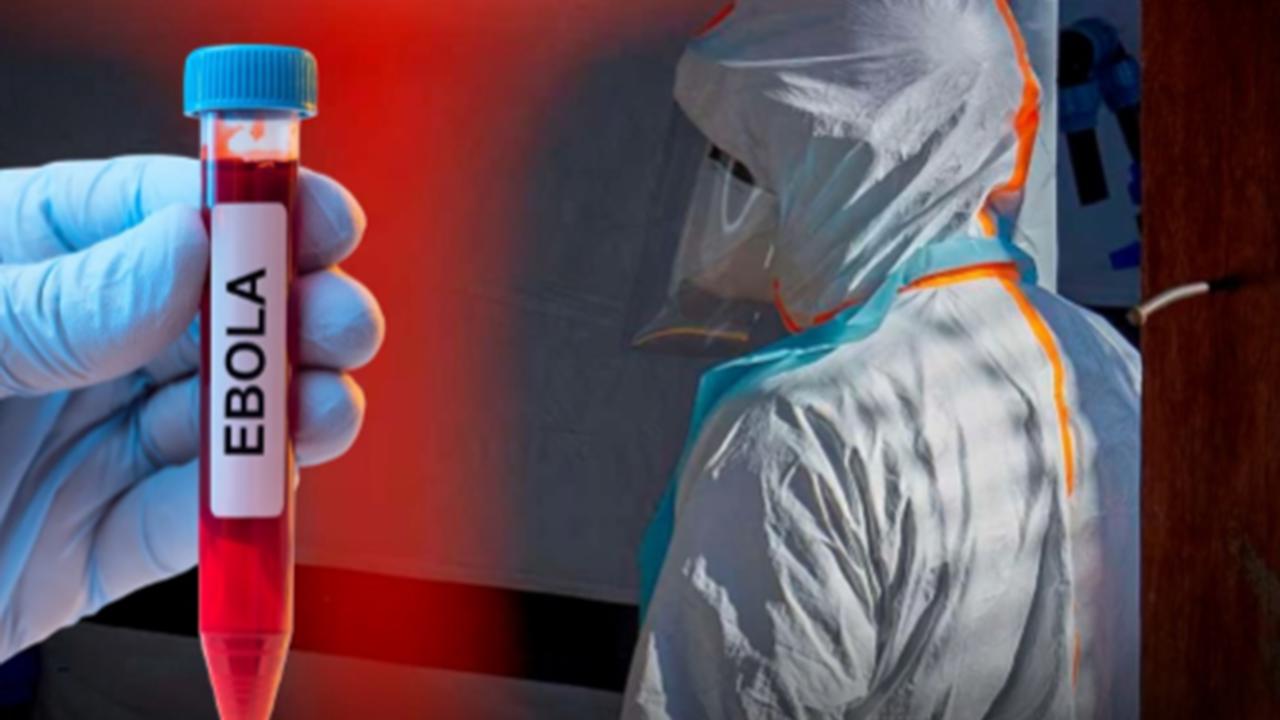 Nijerya'da ilk Ebola vakası doğrulandı