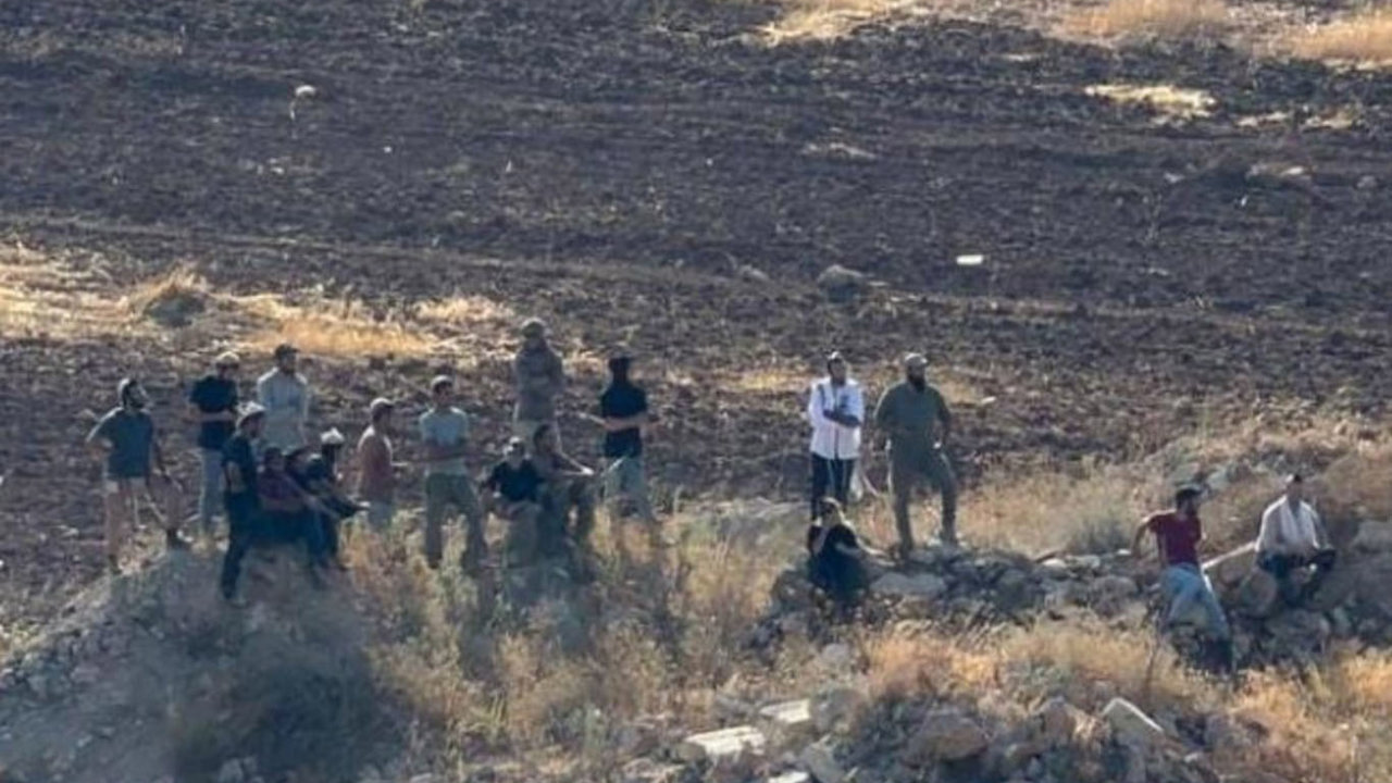 Batı Şeria'da Yahudi çete saldırıları: Koyunlar çalındı, bir genç bıçaklandı