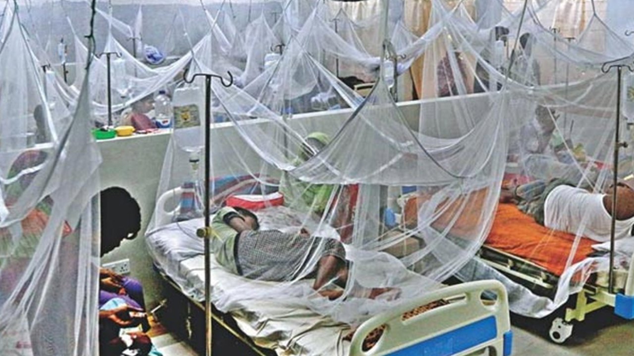 Bangladeş'te bir günde 7 kişi dang hummasından hayatını kaybetti