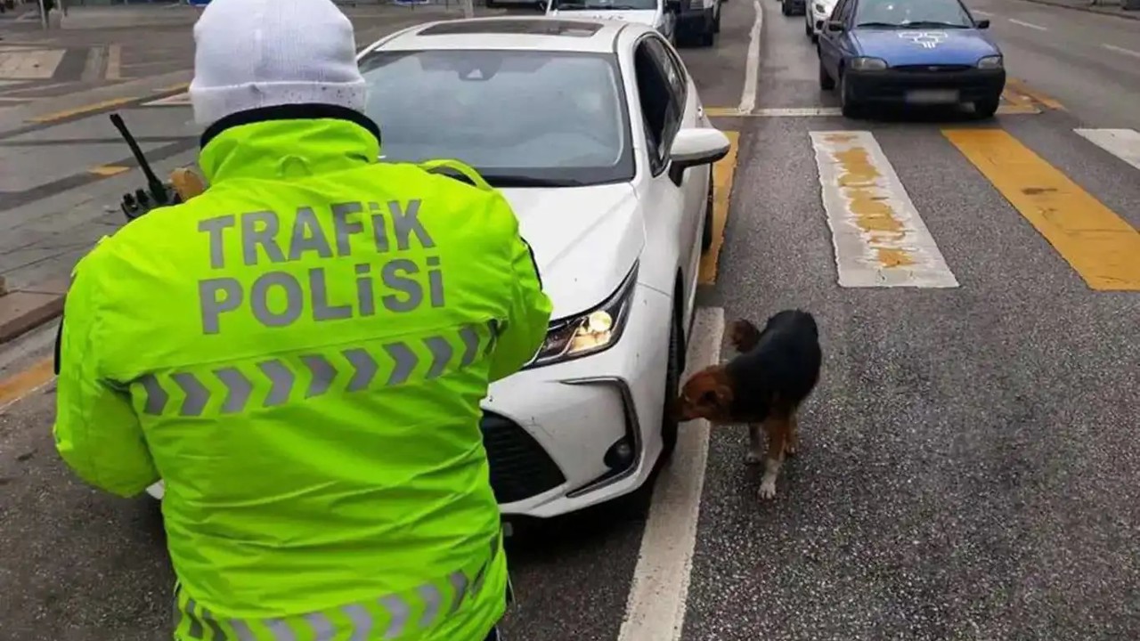 İstanbul'daki "huzur" uygulamasında 529 kişi gözaltına alındı