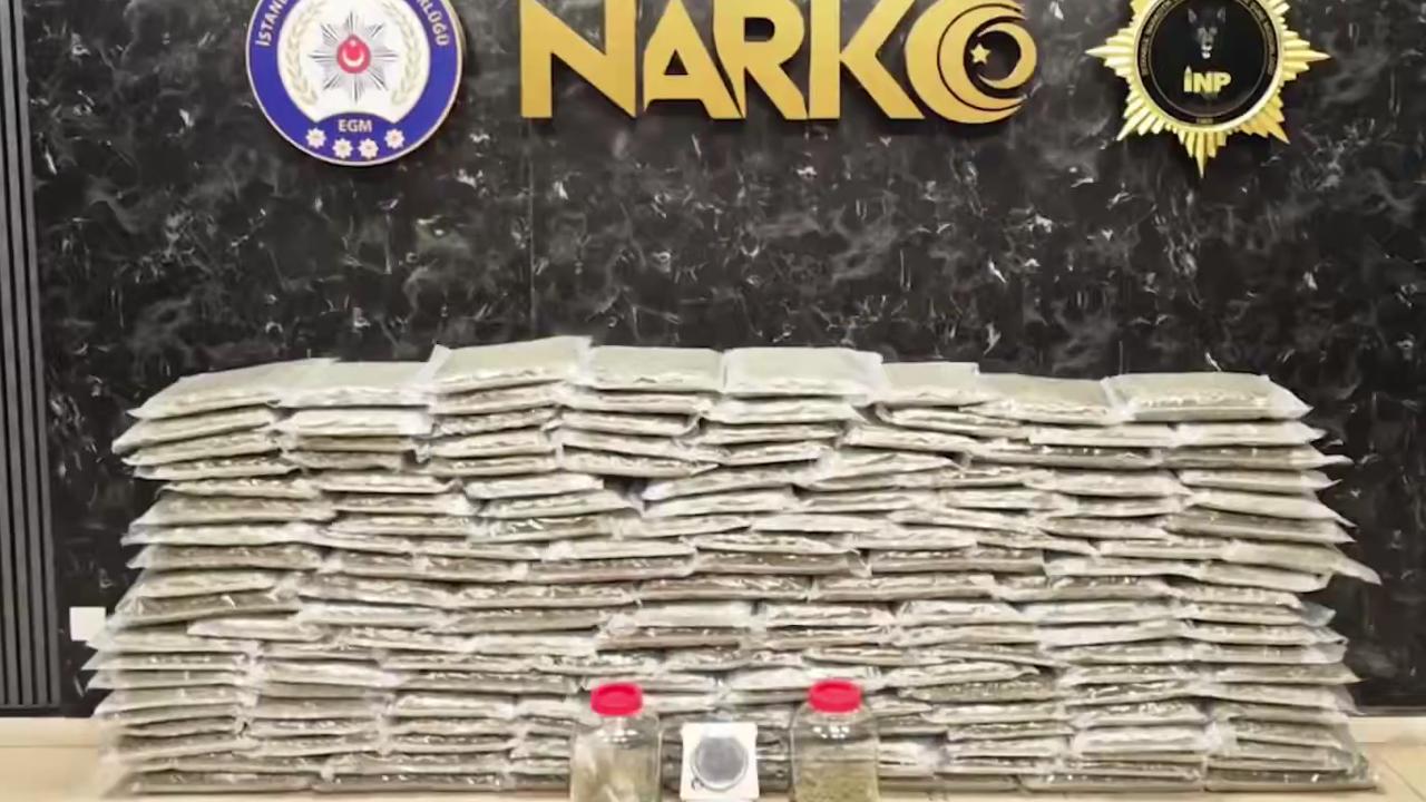 İstanbul ve Kocaeli’de 100 kilo skunk ele geçirildi