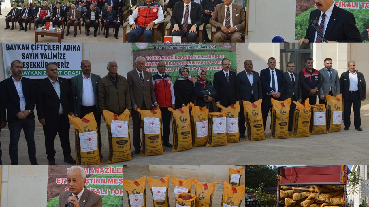 Siirt’te üreticilere 176 ton sertifikalı kırmızı mercimek tohumu dağıtılıyor