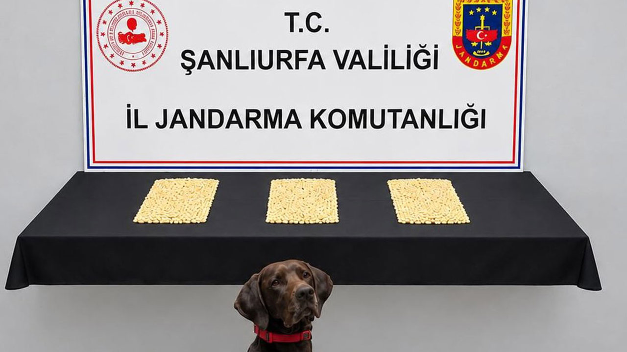 Şanlıurfa'da uyuşturucu operasyonu: 2 bin 970 Captagon hap ele geçirildi